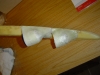 DSC04259.JPG
