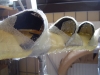 DSC04269.JPG