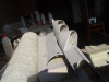 DSC04411.JPG